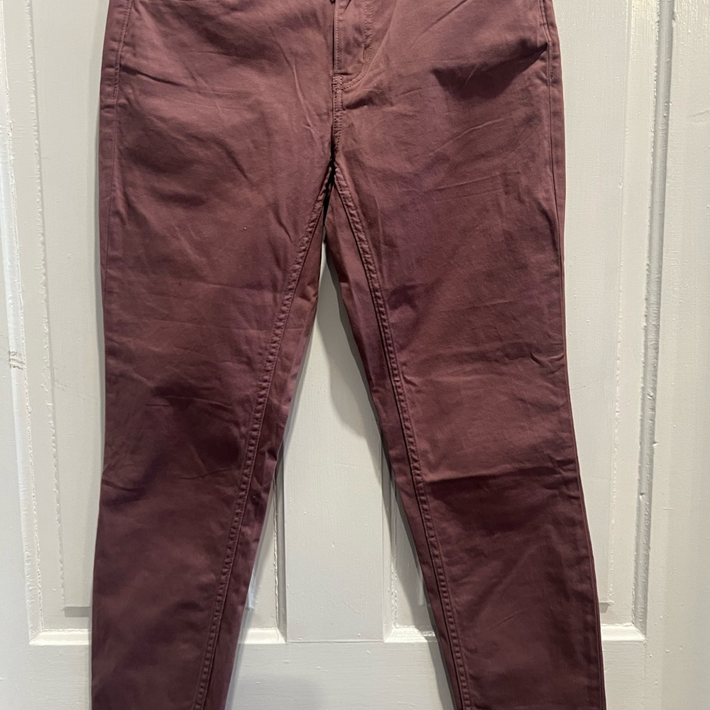 Calvin Klein Jeans Dusty Rose Ankle Skinny Pants